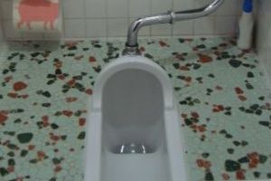 広島県安芸郡・トイレ床の水漏れ