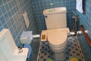 広島市南区でトイレのタンク水漏れ原因は？