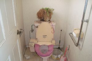 広島市｜トイレ、下水のつまりの原因はなに？