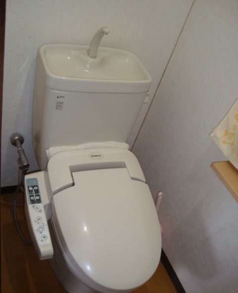 【広島県安芸郡】「トイレのつまり」ラバーカップで直す正しい使い方