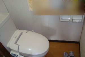広島県安芸郡｜トイレのつまりをラバーカップで直す