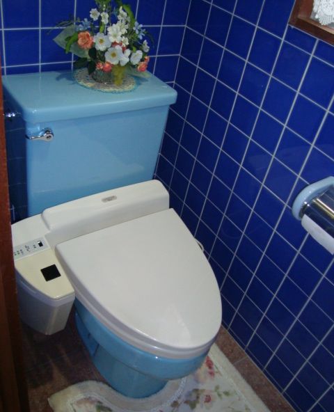 トイレ・便器の取替え：便器交換前のトイレつまりについて自分でできる修理