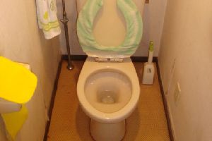 広島市東区・トイレつまり原因は？