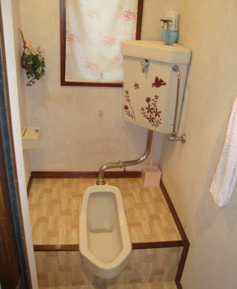 【トイレの詰まり】ラバーカップで直す修理方法とは！【広島市南区】