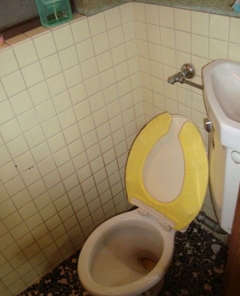 トイレの水漏れ修理、便器に水が漏れる原因と対処方法【広島市南区】