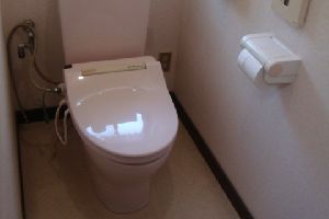 広島市南区｜トイレの床に水漏れ
