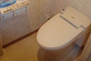 広島市東区・一体型トイレの水漏れ修理は高額です！