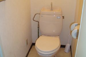 広島市南区｜トイレのつまり自分でできる直し方