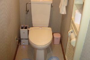 広島市東区・トイレつまりを 解消する方法
