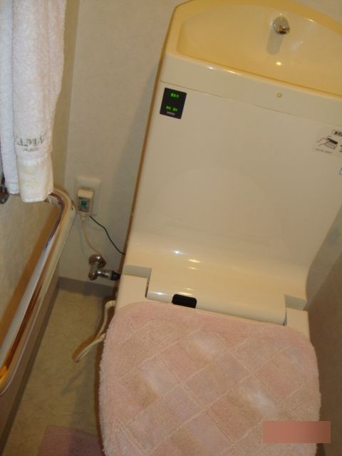 広島市南区｜トイレの水漏れ、タンク水漏れ症状の原因と修理方法