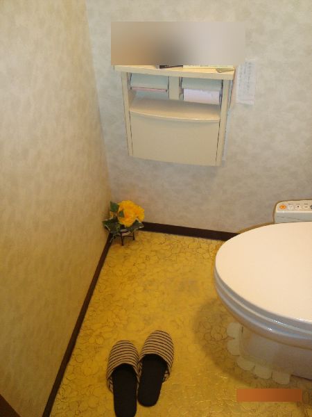 トイレの床に水漏れ・広島県安芸郡海田町｜トイレの水漏れ・原因と自分でできる修理方法