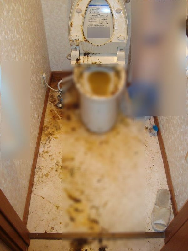 トイレの詰まり修理方法：トイレ便器のつまりが溢れ、逆流。